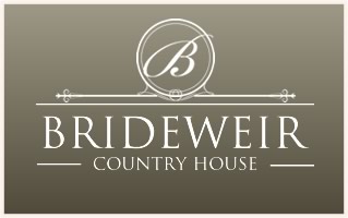 Brideweir Logo
