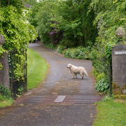 Brideweir House Rentals